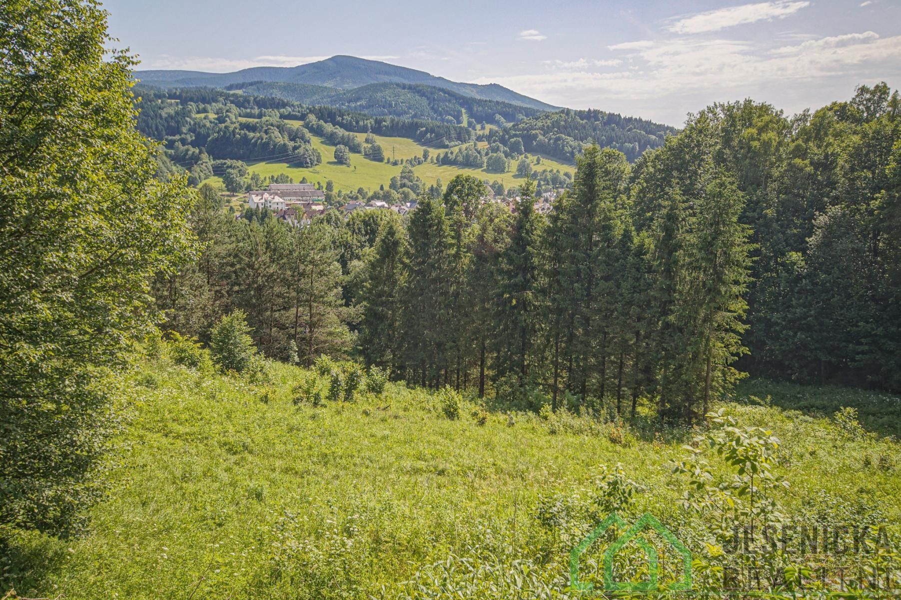 Zemědělské pozemky, Lipová-lázně, 12 392 m²