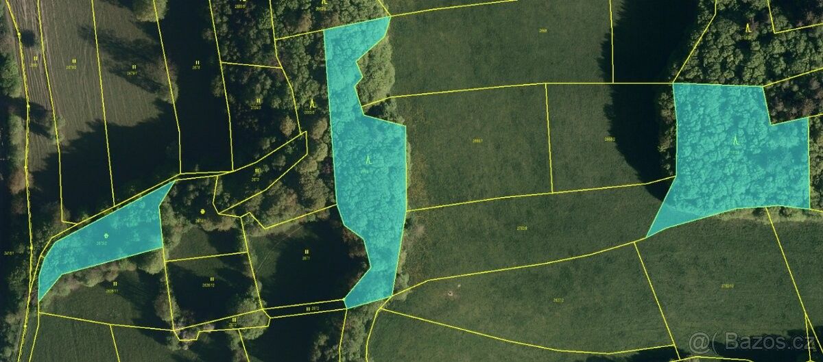 Lesy, Valašská Polanka, 756 11, 242 m²