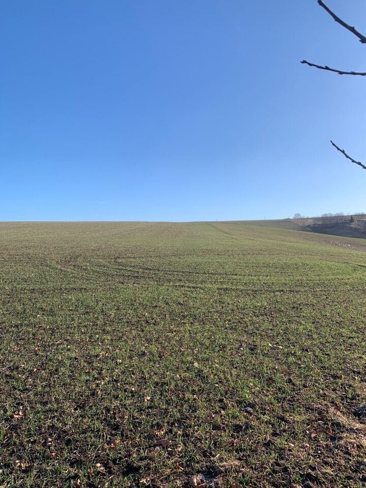 Pozemky pro bydlení, Heršpice, 502 m²