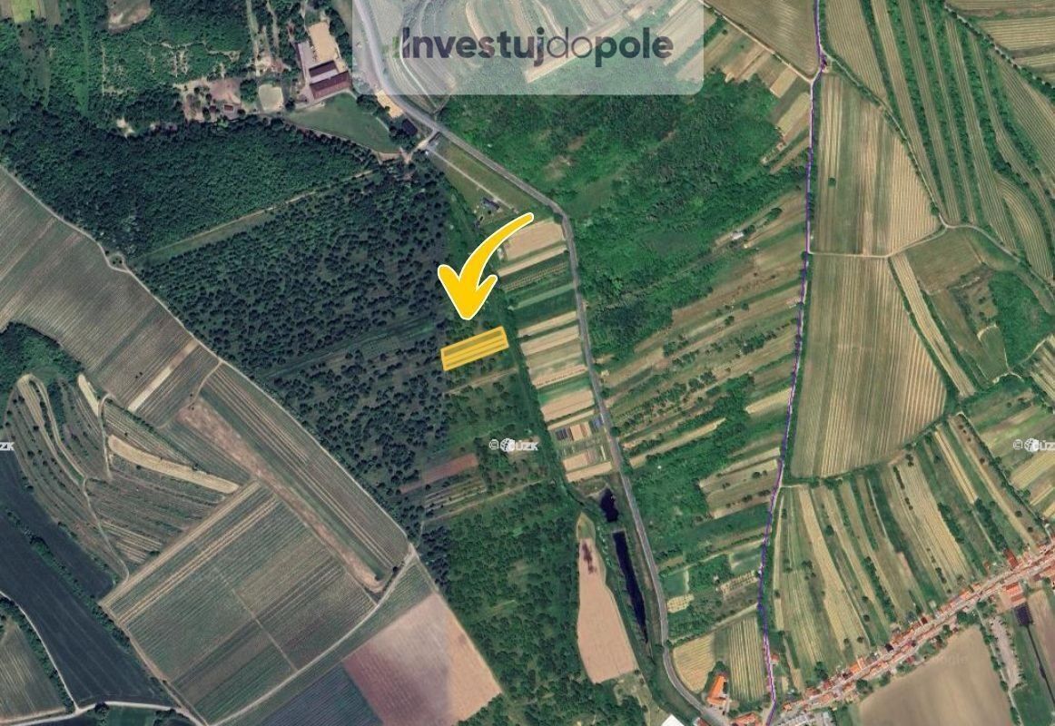 Prodej pozemek - Němčičky, 2 944 m²