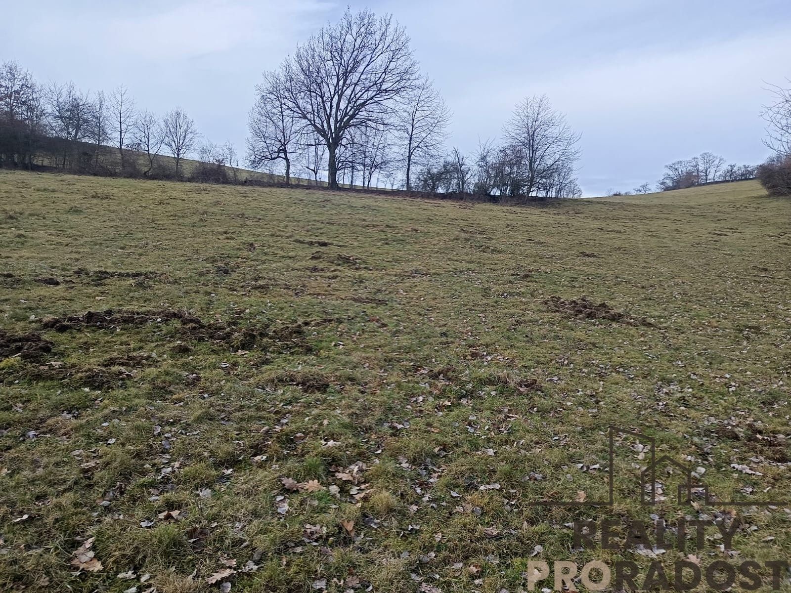 Prodej louka - Jílové u Prahy, 18 692 m²