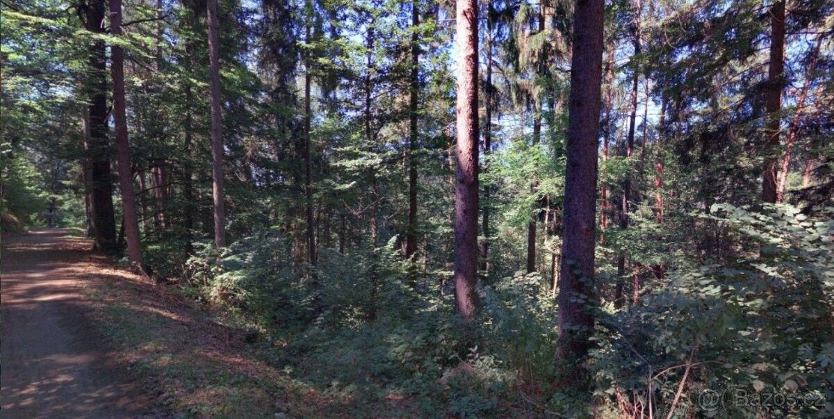 Prodej les - Sušice, 342 01, 2 485 m²