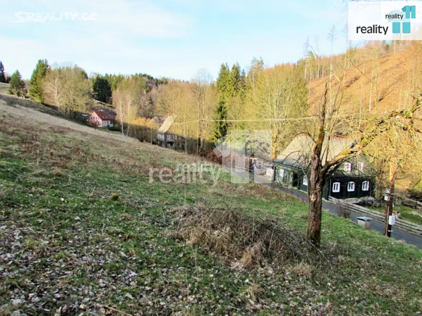 Louky, Dlouhý Důl, Krásná Lípa, 4 262 m²