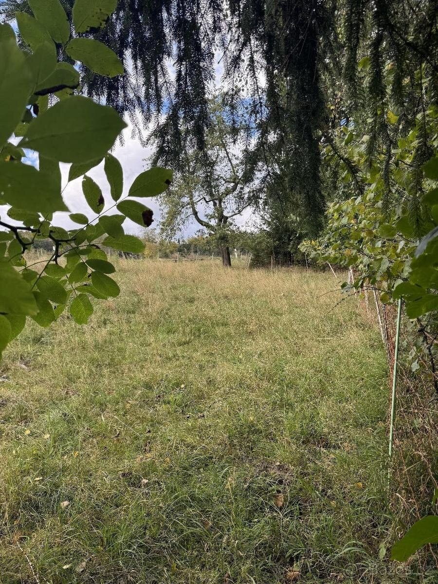 Prodej zahrada - Úpice, 542 32, 4 486 m²