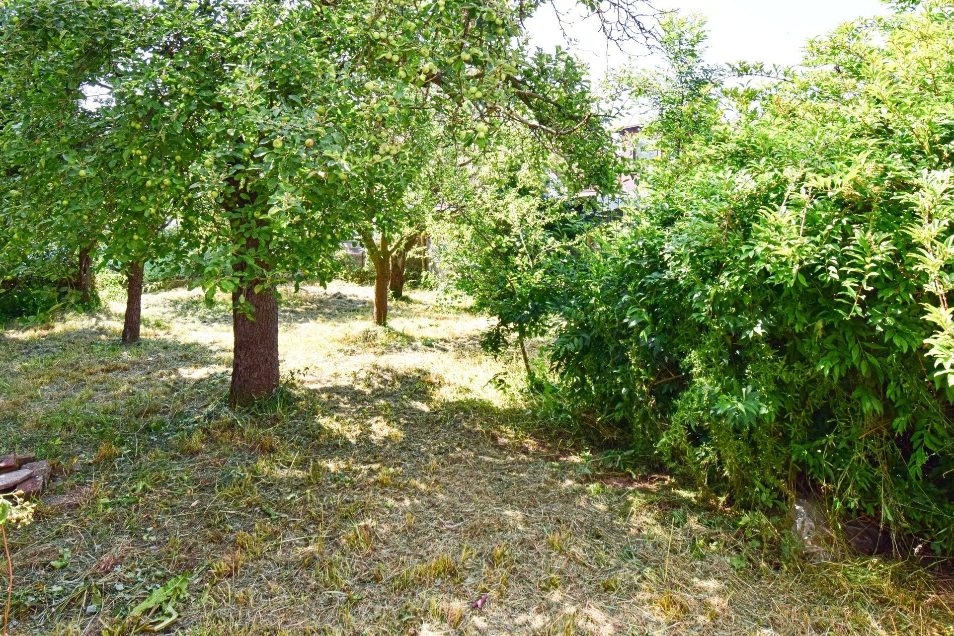 Prodej dům - Boženy Němcové, Sušice, 150 m²