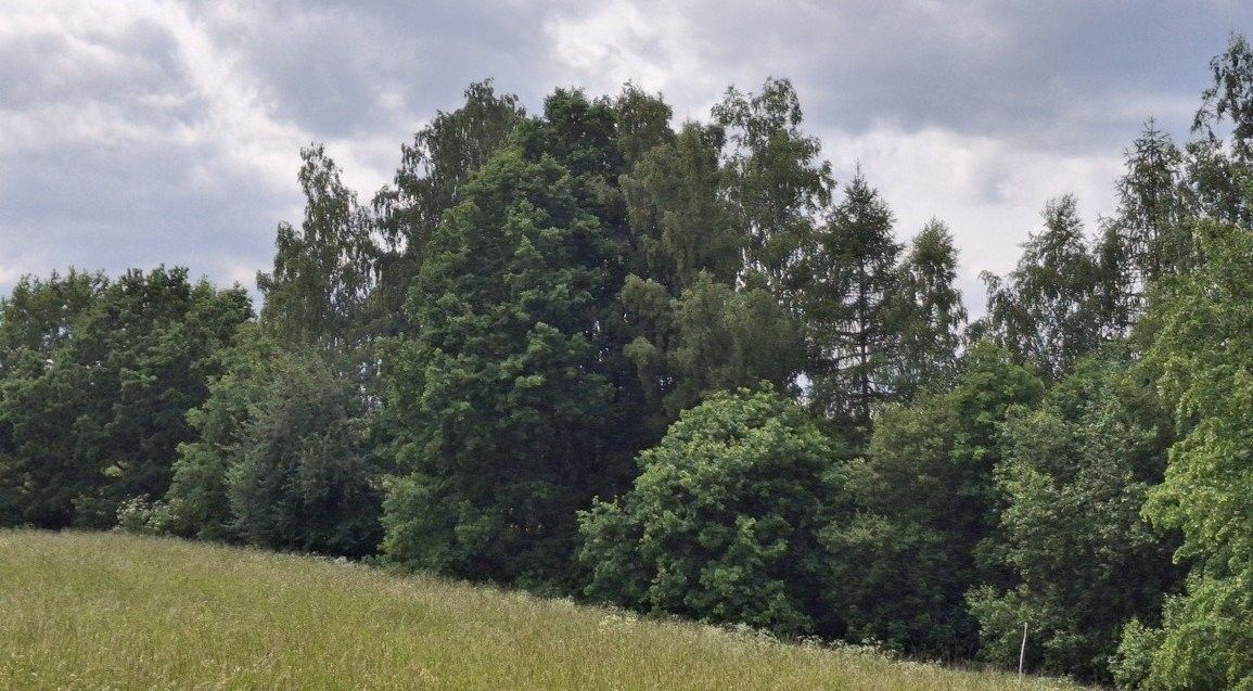 Ostatní, Tůně, Pomezí nad Ohří, 39 941 m²