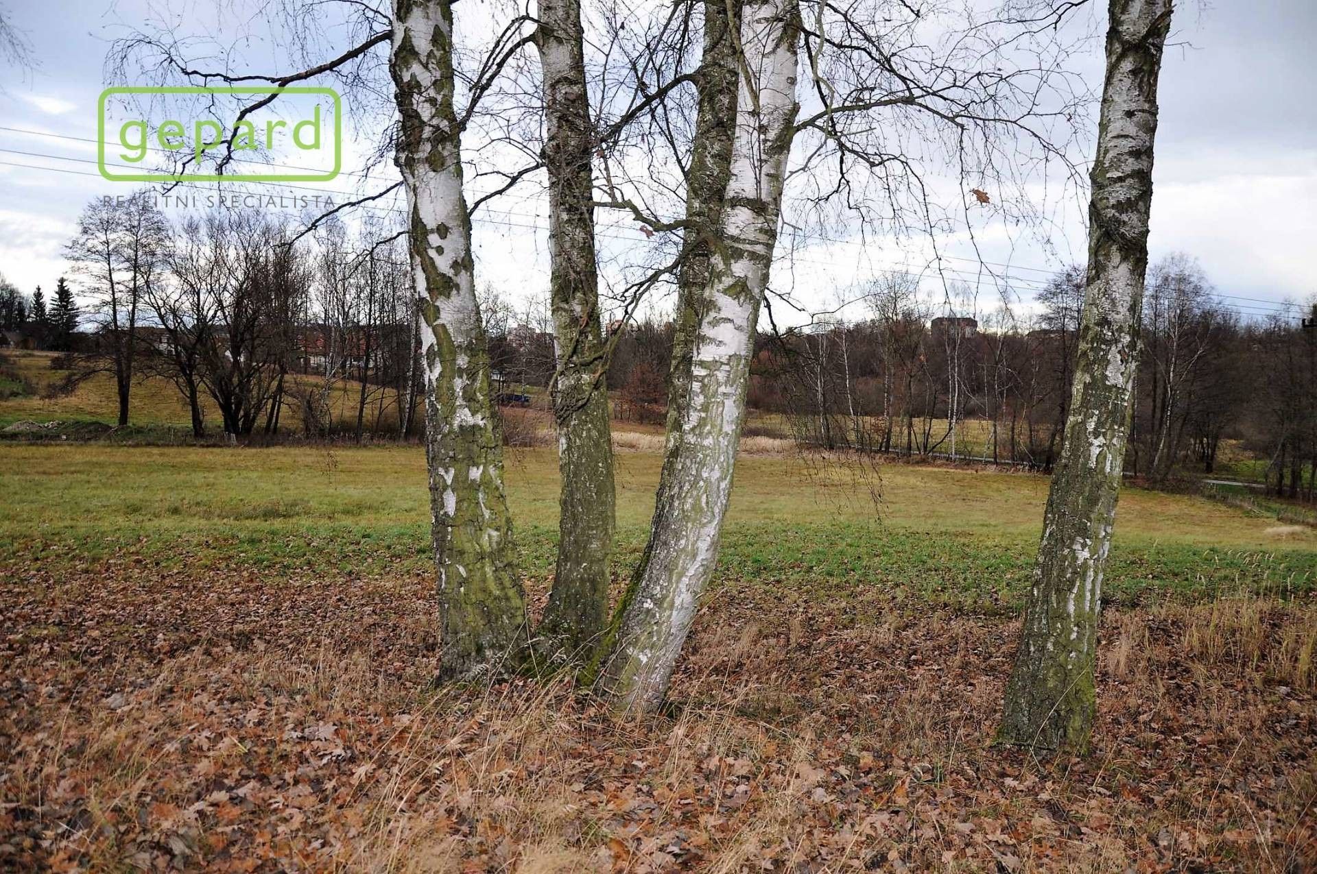 Zemědělské pozemky, Trhové Sviny, 4 674 m²