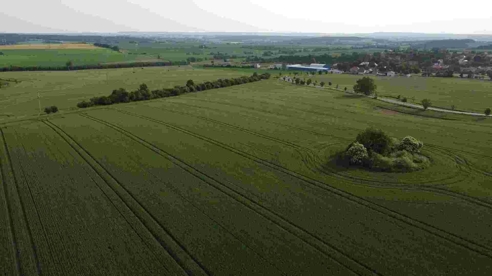 Zemědělské pozemky, Rakovník, 5 266 m²