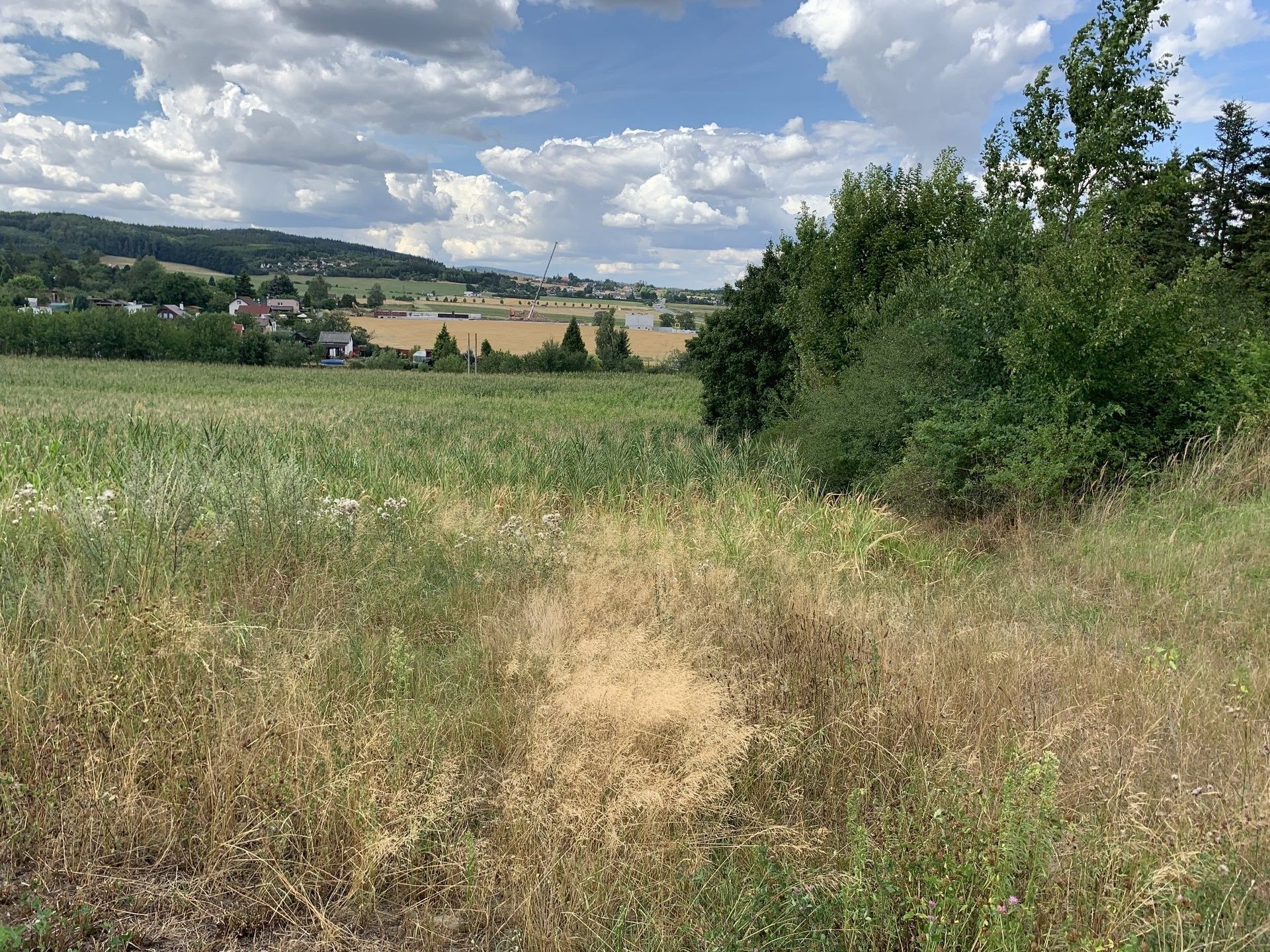 Zemědělské pozemky, I, Klatovy, 2 648 m²