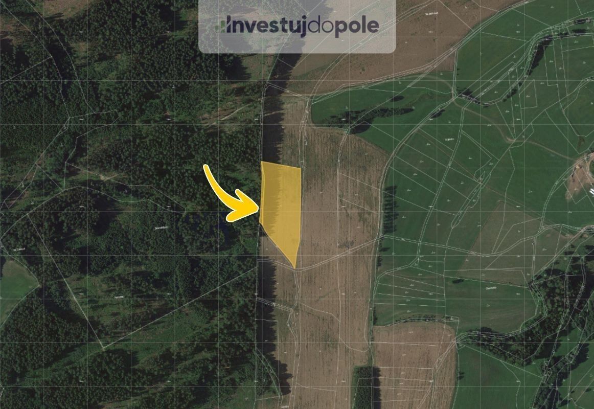 Prodej zemědělský pozemek - Mříčná, 15 779 m²