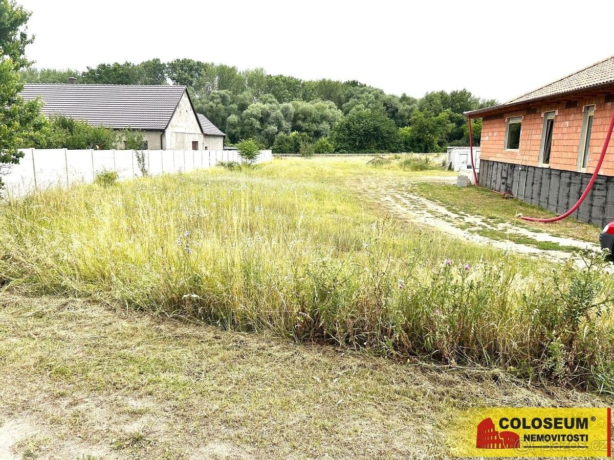 Ostatní, Březí u Mikulova, 691 81, 1 667 m²