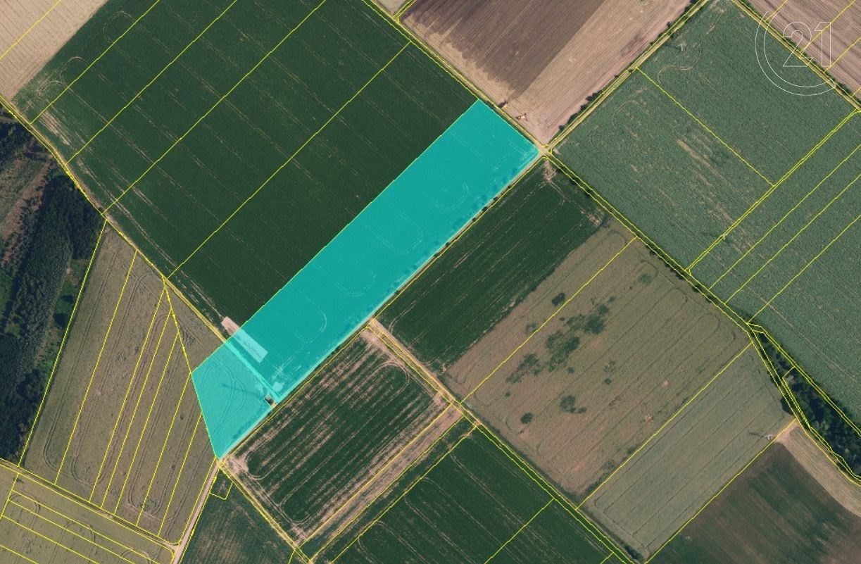 Zemědělské pozemky, Senorady, 51 163 m²