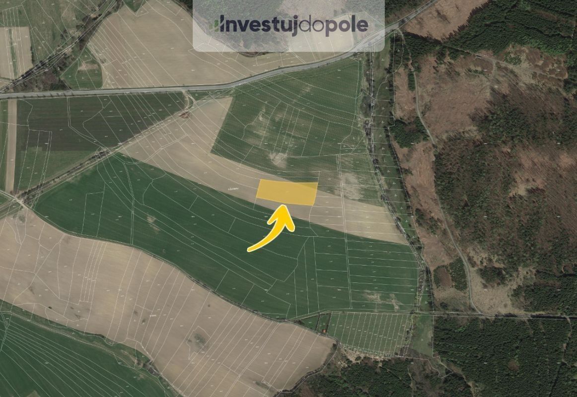 Prodej zemědělský pozemek - Žďárná, 2 924 m²