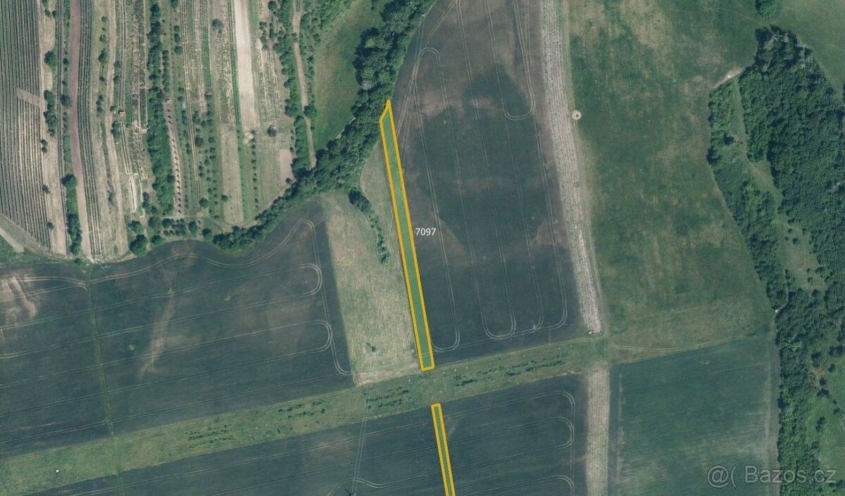 Prodej zemědělský pozemek - Milotice u Kyjova, 696 05