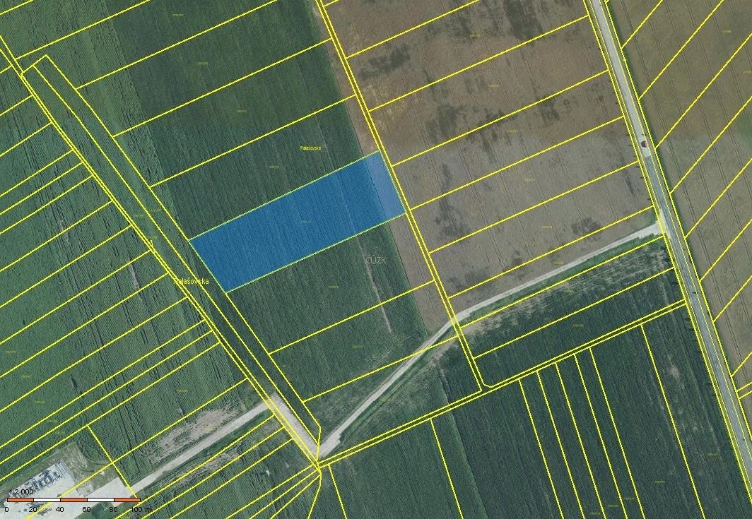 Zemědělské pozemky, Velké Bílovice, 3 524 m²
