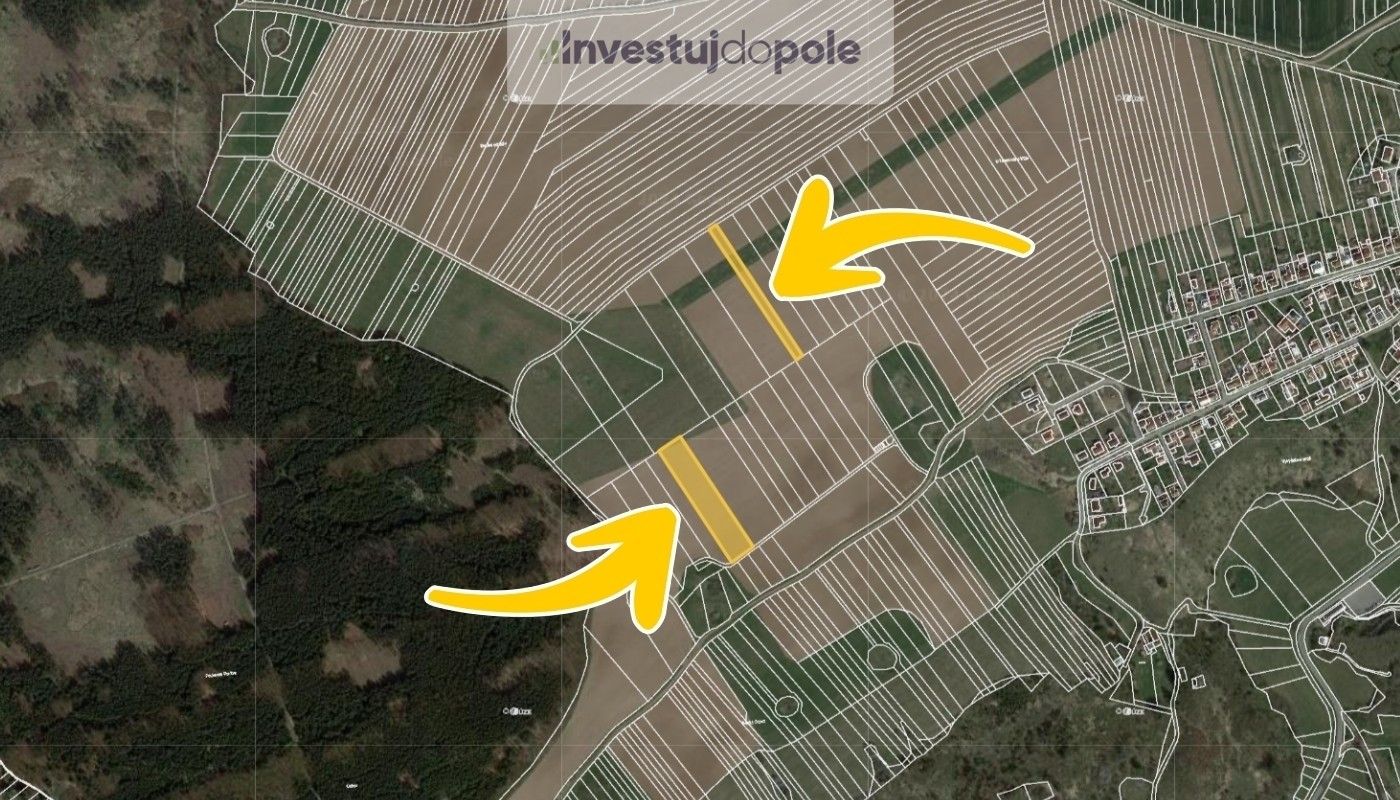 Prodej zemědělský pozemek - Ostrov u Macochy, 8 074 m²