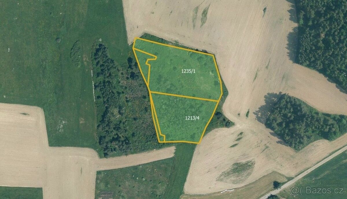 Prodej zemědělský pozemek - Horažďovice, 341 01