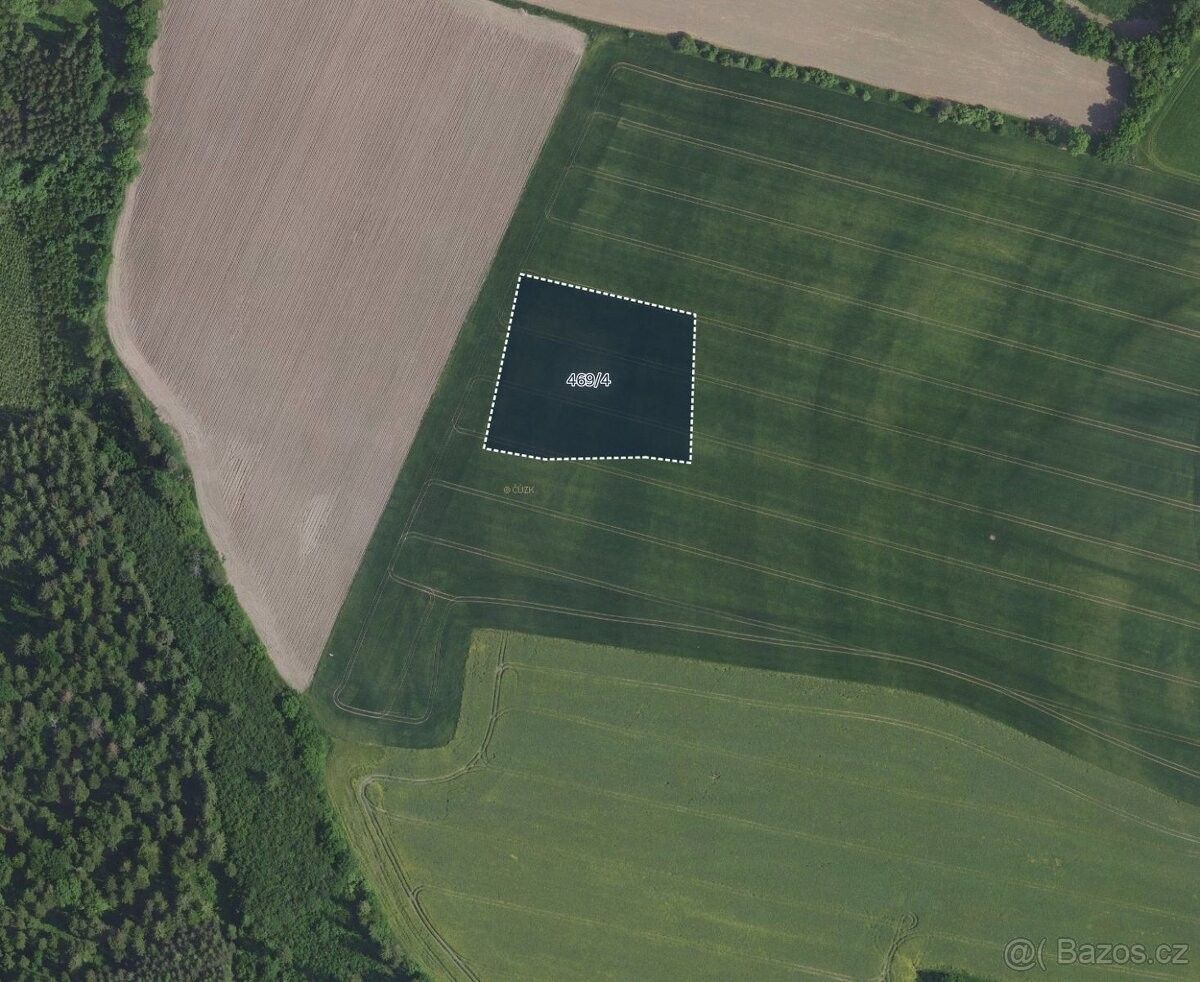 Zemědělské pozemky, Kostelec nad Černými Lesy, 281 63