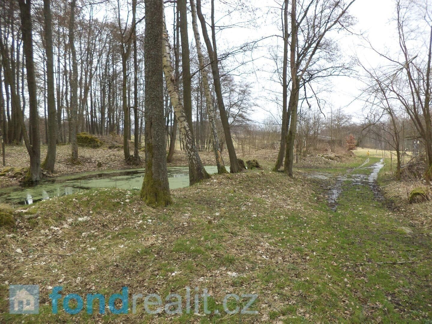 Pozemky pro bydlení, Dolní Nivy, 1 252 m²