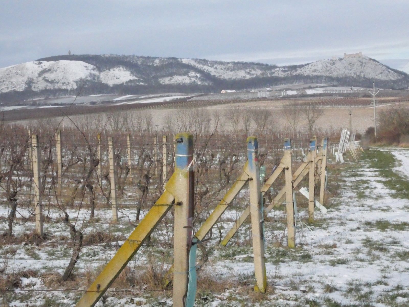 Ostatní, Milovice, 8 406 m²