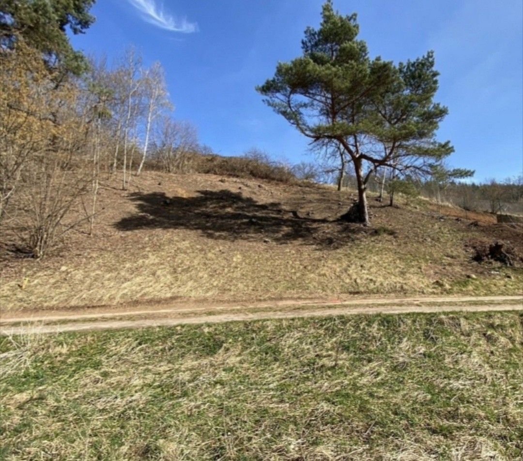 Prodej dům - Boskovice, 680 01, 400 m²