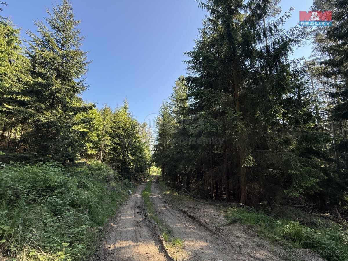 Prodej les - Krásná Hora nad Vltavou, 262 56, 23 184 m²