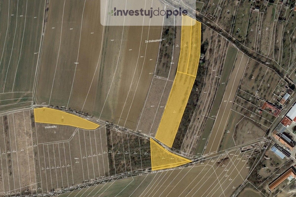 Zemědělské pozemky, Zdislavice, Troubky-Zdislavice, 13 586 m²