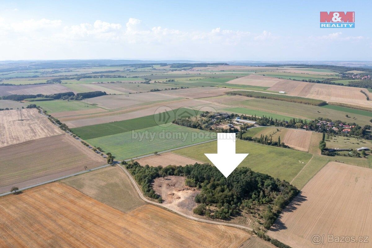 Prodej les - Pavlíkov, 270 21, 9 132 m²