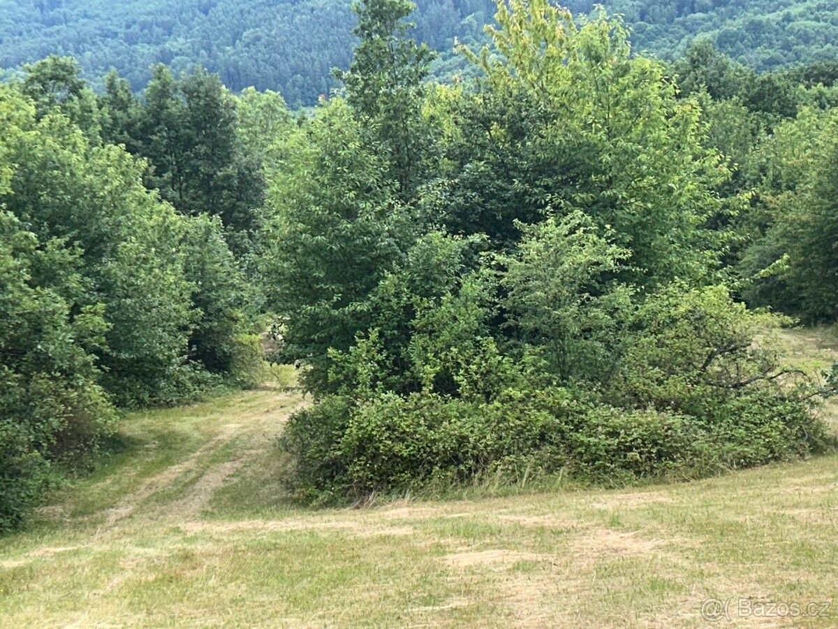 Prodej pozemek - Traplice, 687 04, 12 070 m²