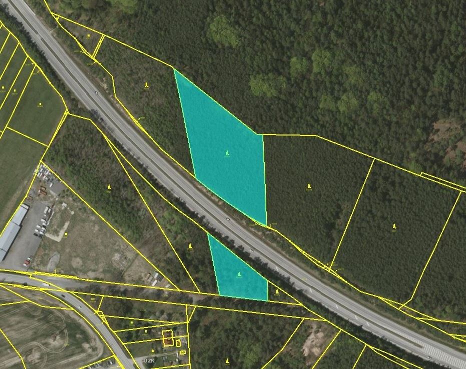 Prodej les - České Budějovice, 370 01, 11 682 m²
