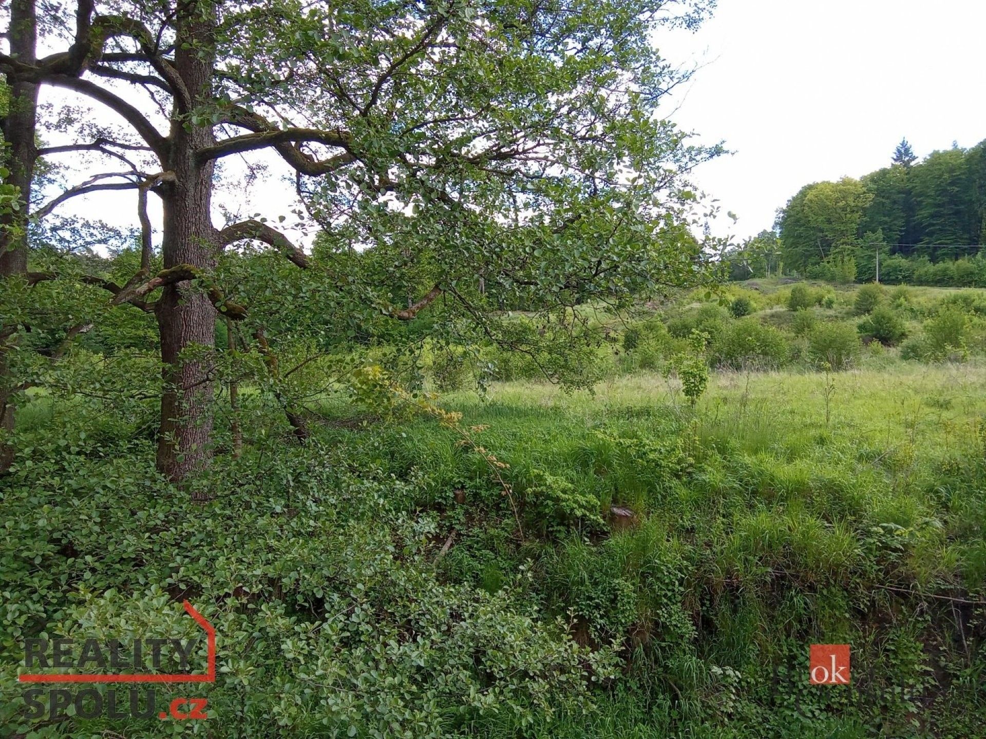 Prodej pozemek pro bydlení - Janská, 22 894 m²