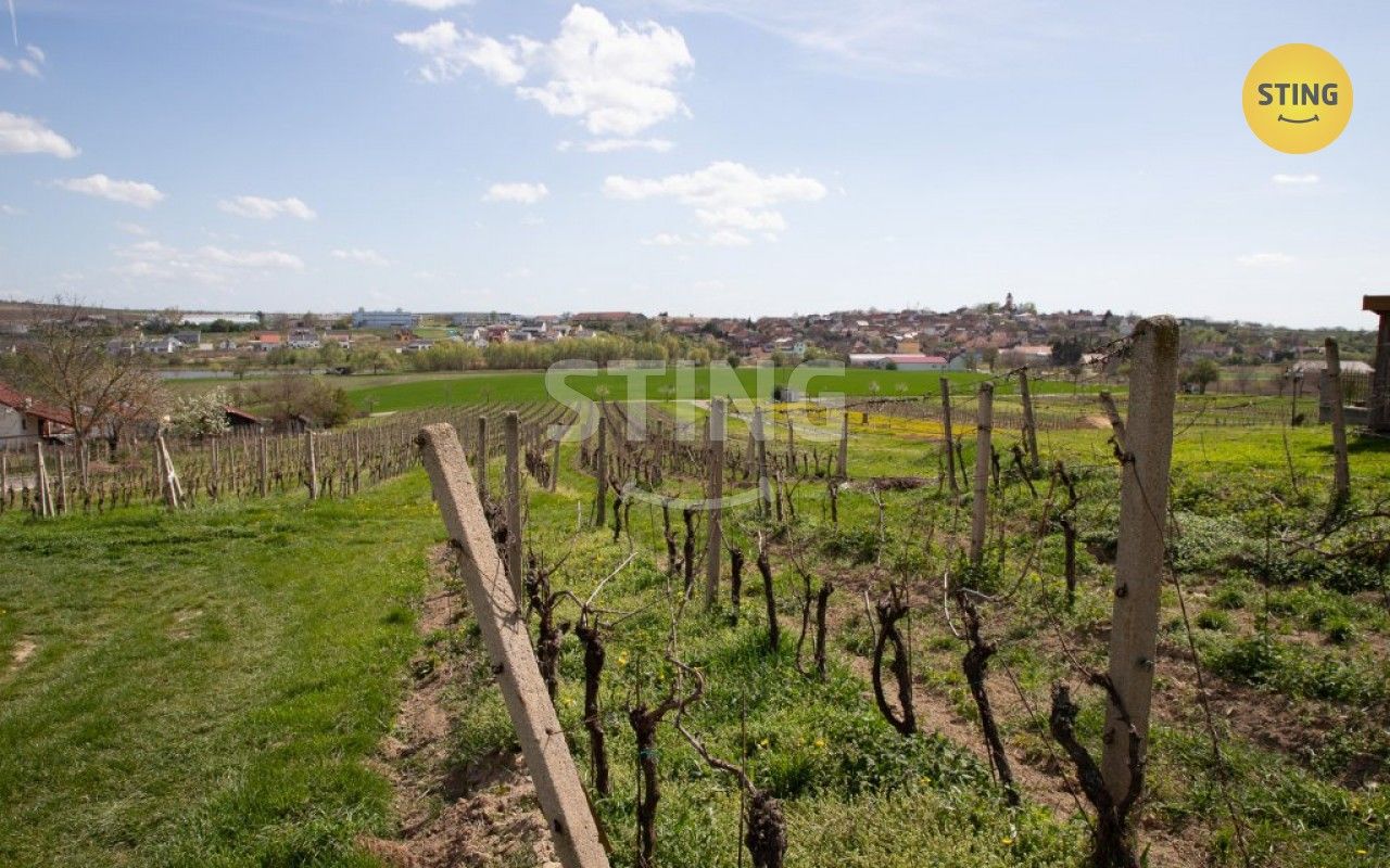 Komerční pozemky, Bořetice, 4 731 m²