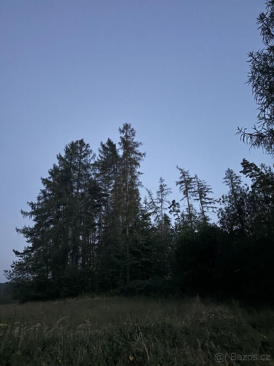 Lesy, Proseč u Skutče, 539 44, 7 493 m²