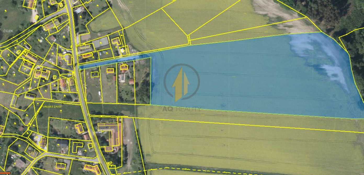 Prodej zemědělský pozemek - Pařezská Lhota, Holín, 44 293 m²