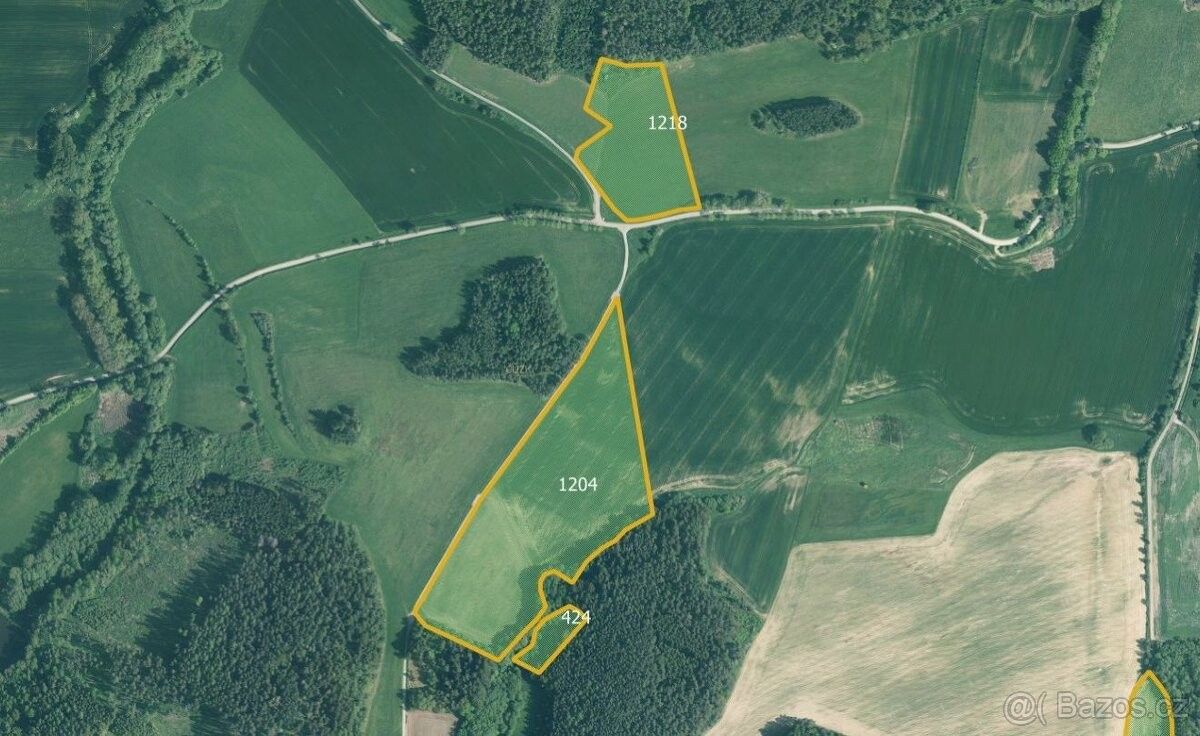 Prodej zemědělský pozemek - Strakonice, 386 01
