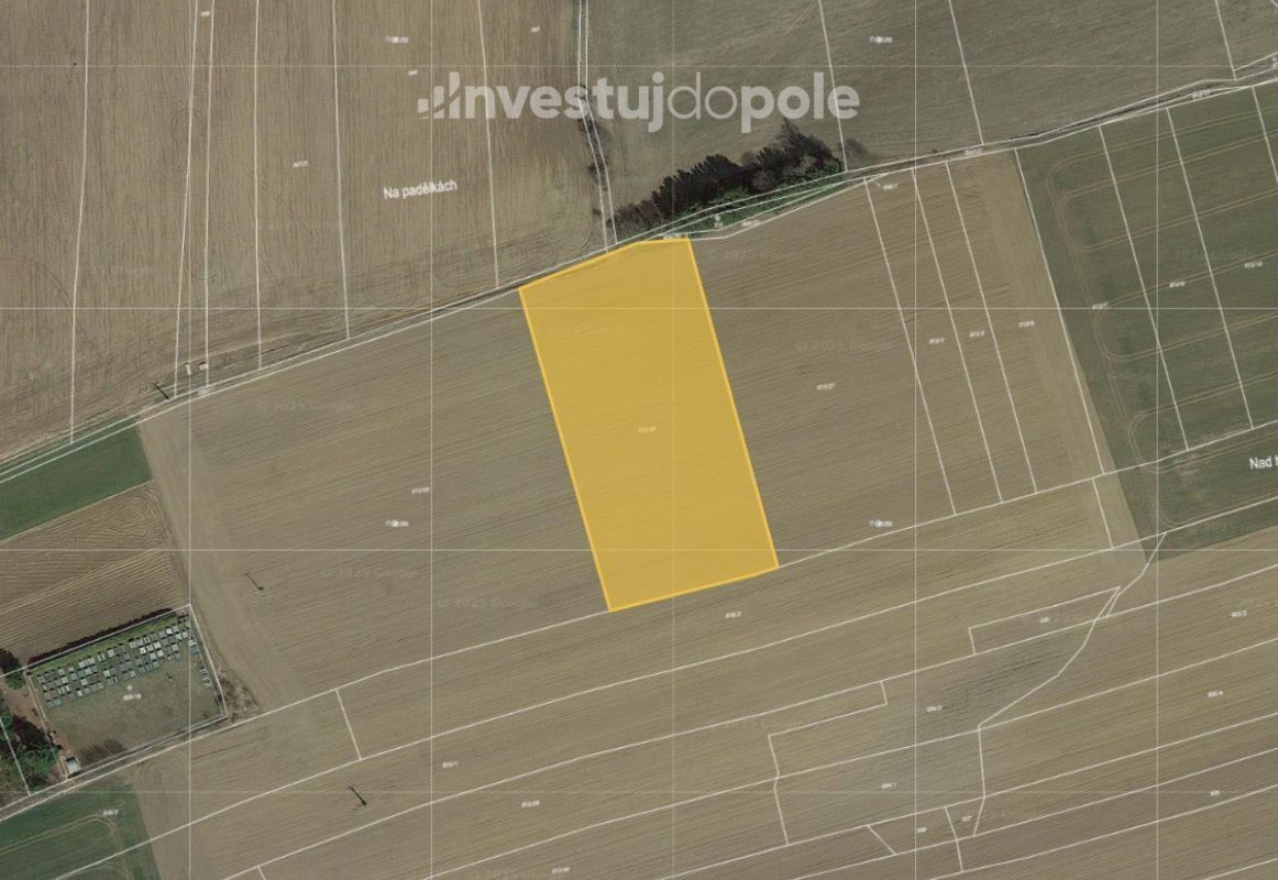 Zemědělské pozemky, Buřenice, 9 951 m²
