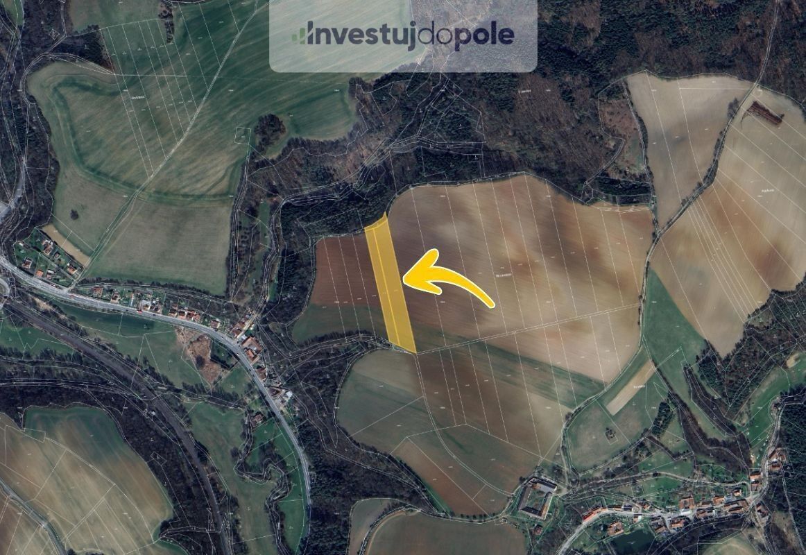 Prodej zemědělský pozemek - Slatinka, Letovice, 10 583 m²