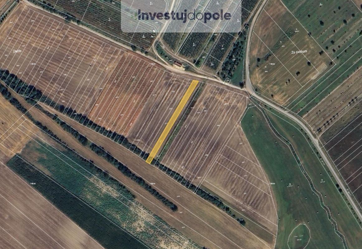 Zemědělské pozemky, Šardice, 1 199 m²