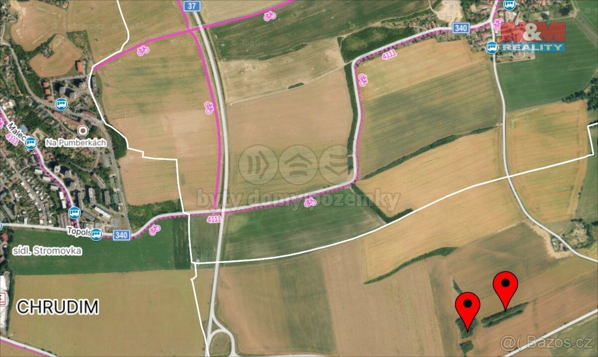 Prodej les - Kočí, 538 61, 5 803 m²