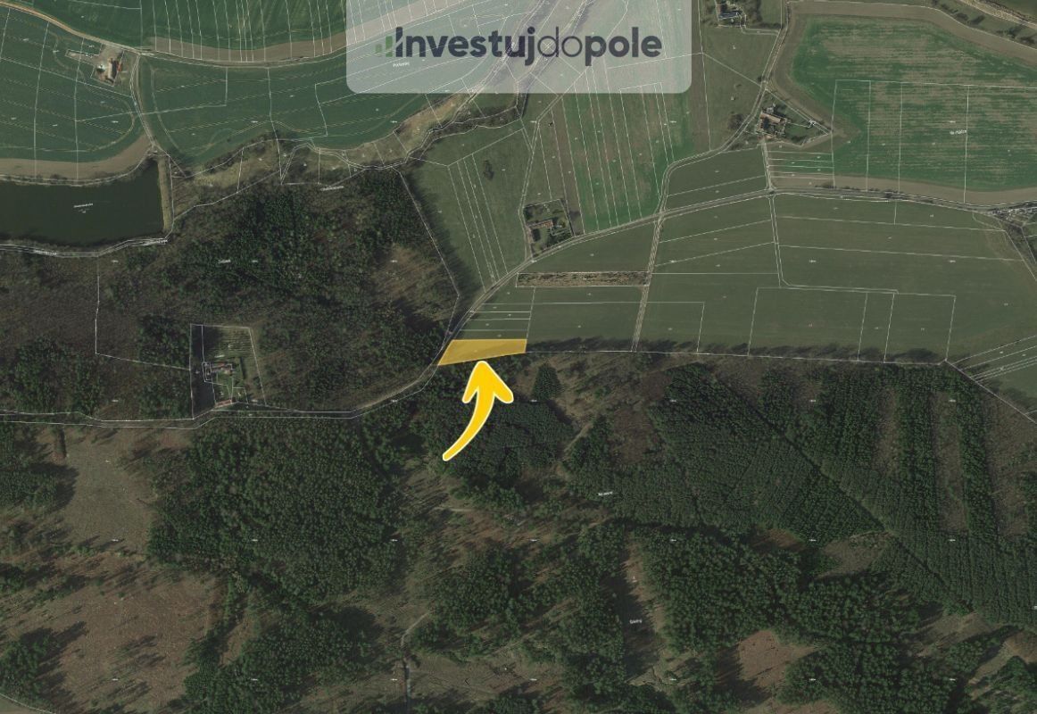 Prodej zemědělský pozemek - Jehnědno, Albrechtice nad Vltavou, 2 926 m²