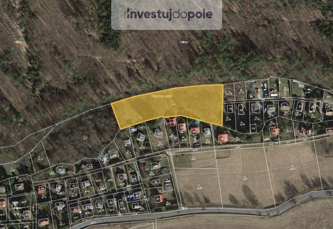 Louky, Hornická, Nový Jáchymov, 4 501 m²
