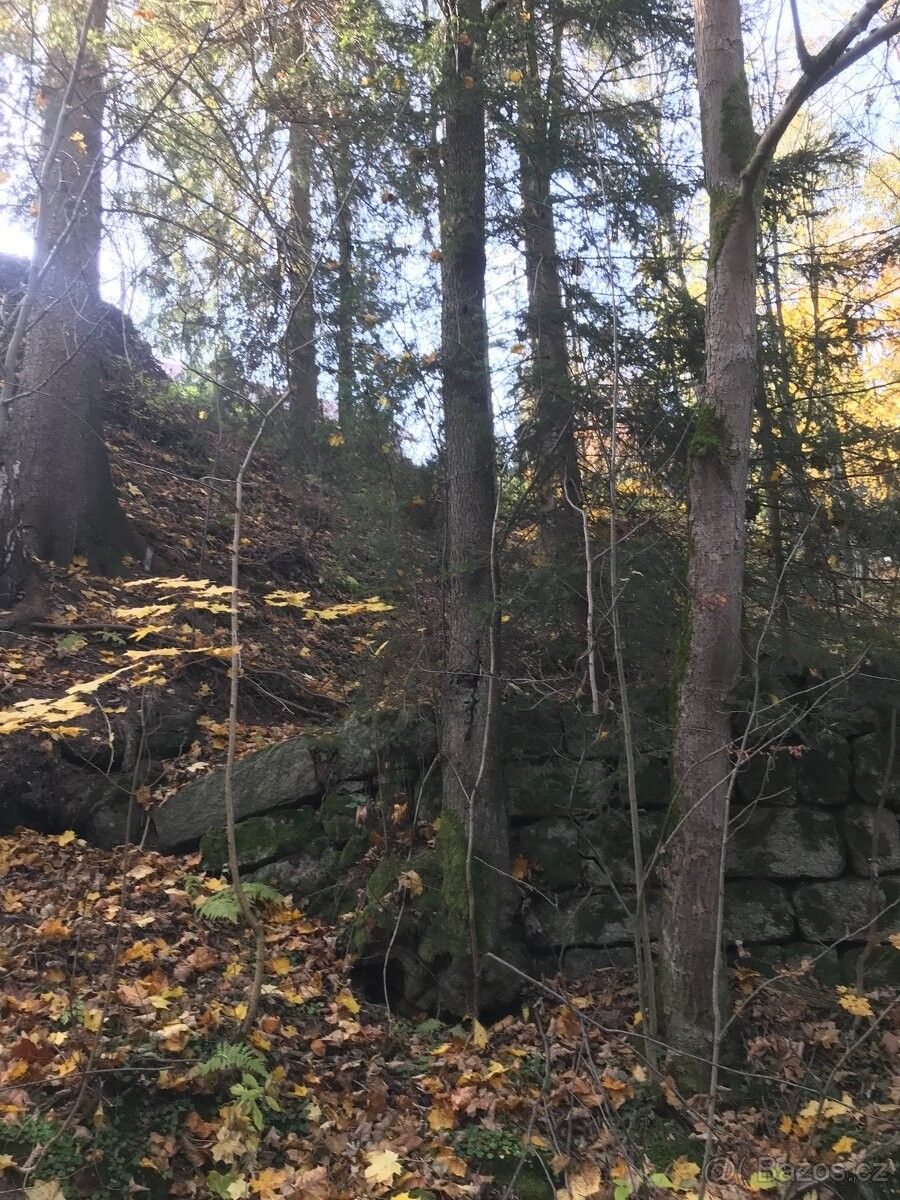 Prodej pozemek - Smržovka, 468 51