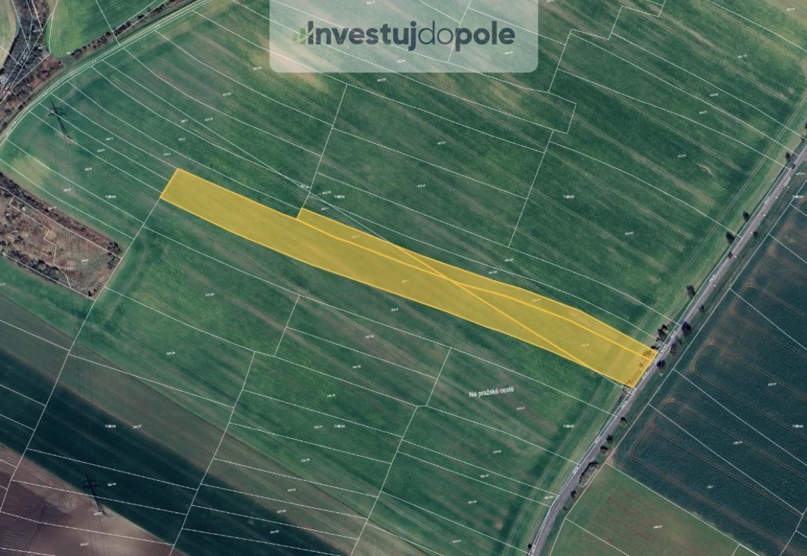 Zemědělské pozemky, Kostelec nad Labem, 24 376 m²