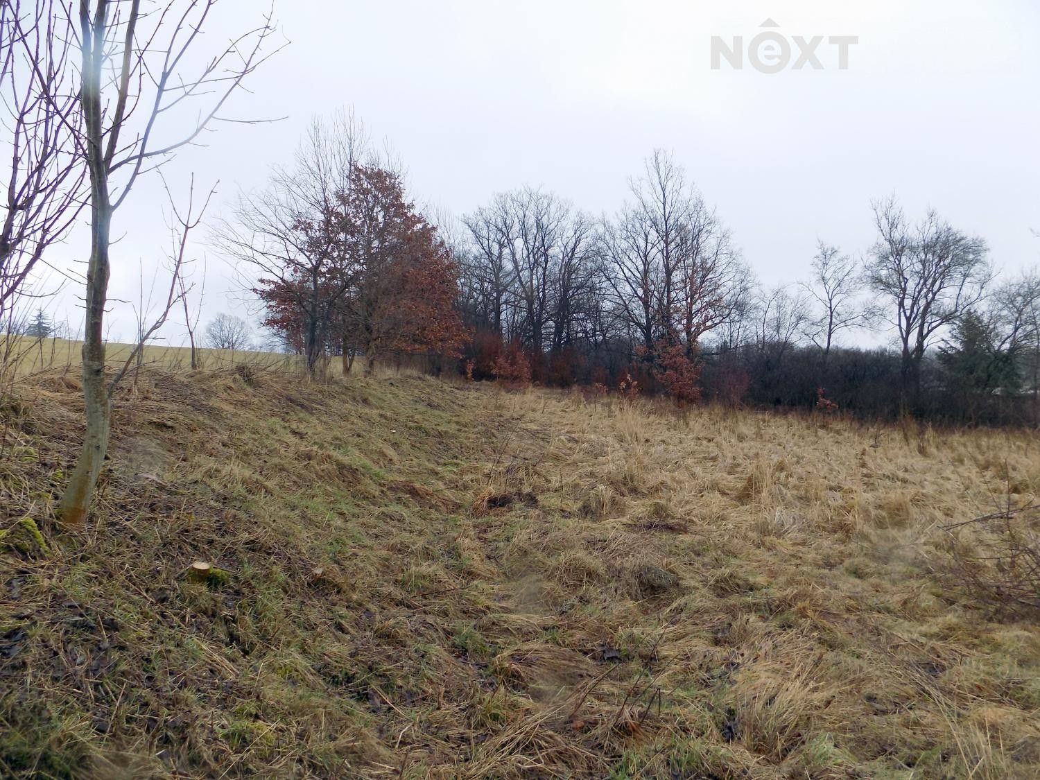 Louky, Krasíkov, 3 412 m²