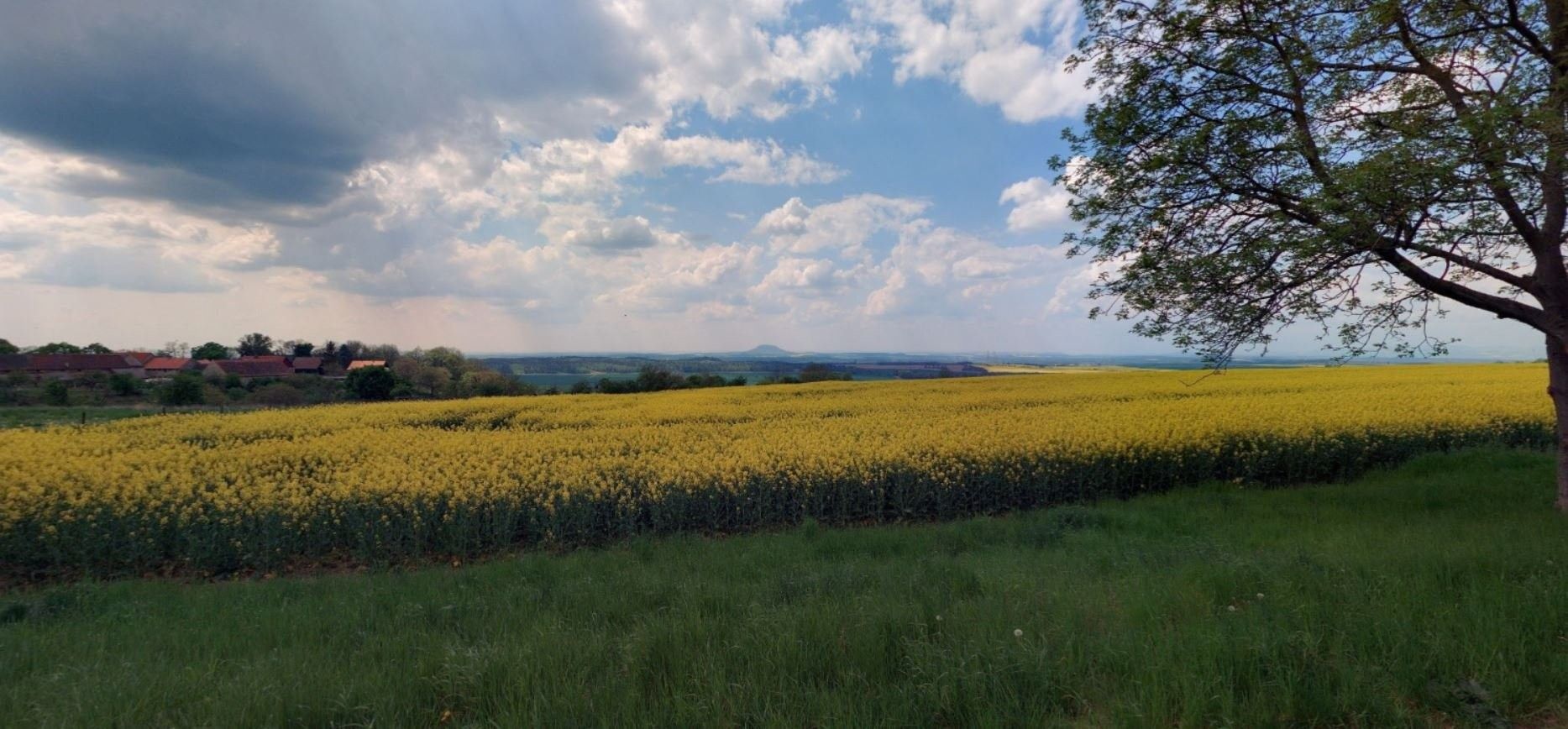 Zemědělské pozemky, Brocno, Štětí, 6 006 m²