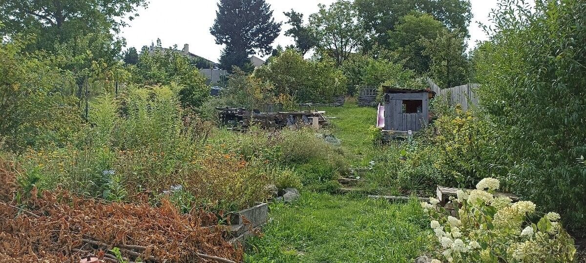 Prodej pozemek pro bydlení - Lipůvka, 679 22, 1 095 m²