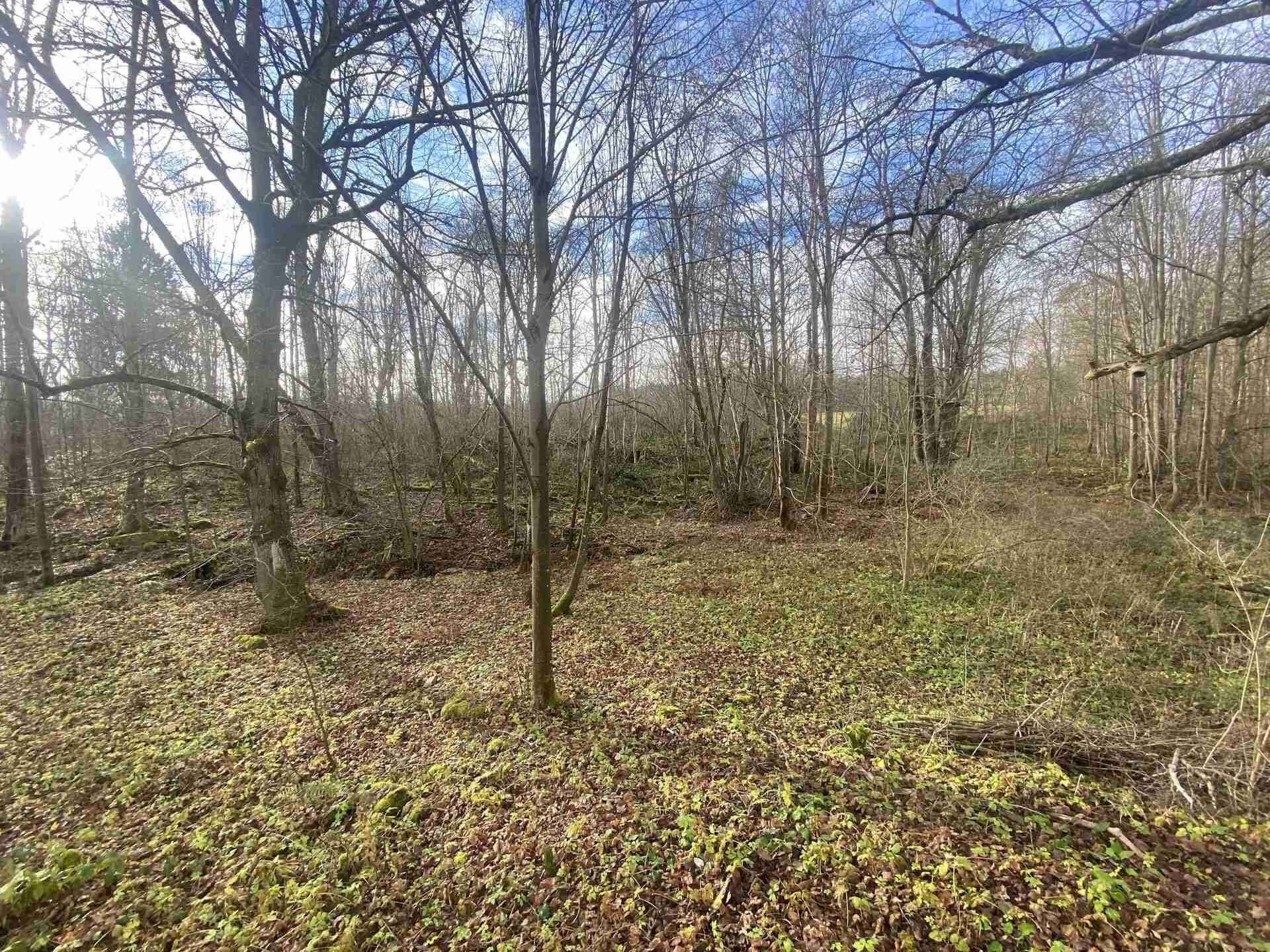Pozemky pro bydlení, Staré Město pod Landštejnem, 1 074 m²