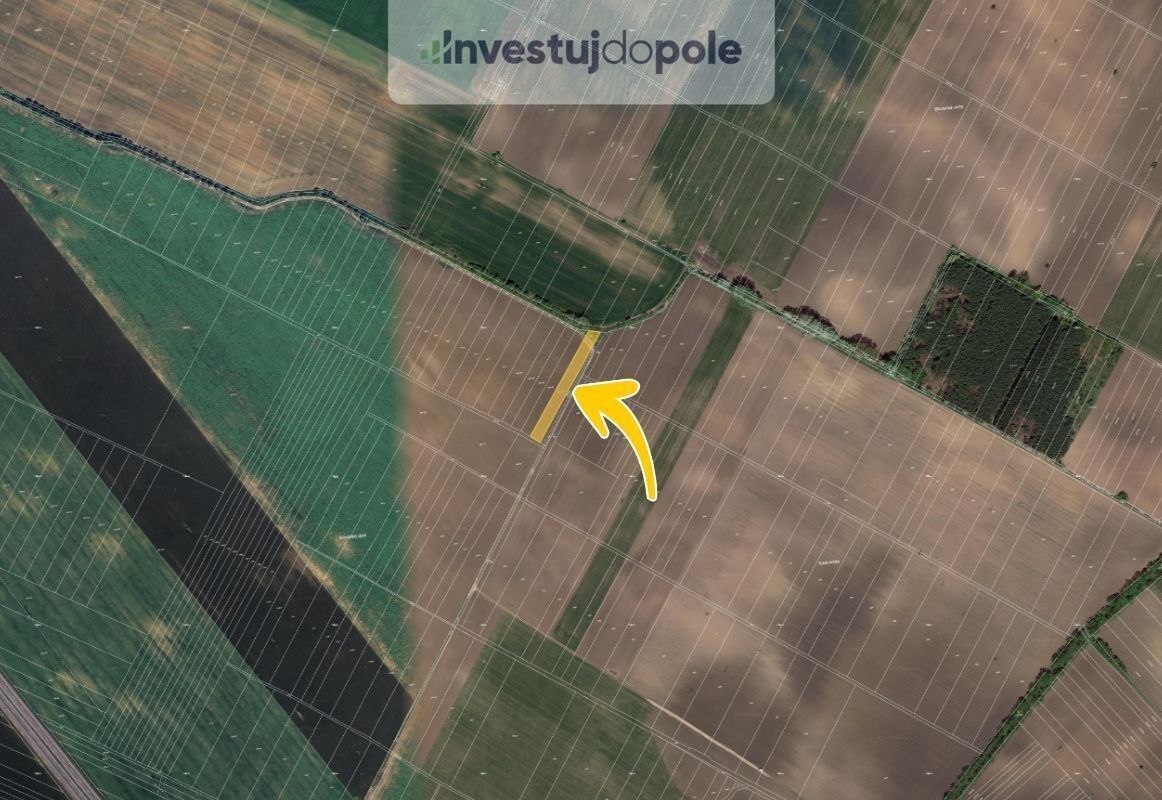 Prodej zemědělský pozemek - Břeclav, 2 441 m²