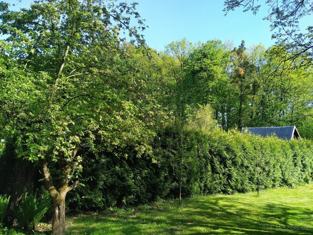 Prodej zahrada - Příbor, 742 58, 578 m²
