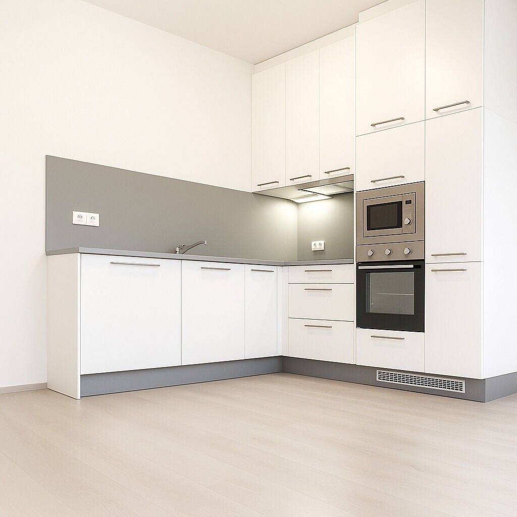 2+kk, Hugo Haase, Praha, 50 m²